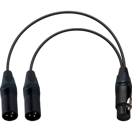 Get larger image of Laird 5-Pin Female XLR to Dual 3-Pin XLR Male Balanced Line for Sound Devices Mixers