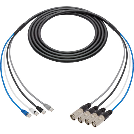 Get larger image of Laird 4C6SNKEC-RJ-006 4-Channel Belden Cat6 Ethernet Cable with etherCON to RJ45 Connectors & 18 Inch Fanouts- 6 Foot